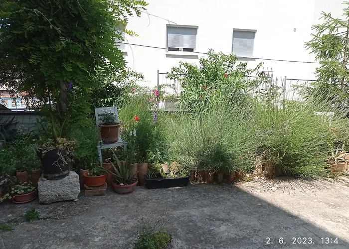 City Apartment Todor
