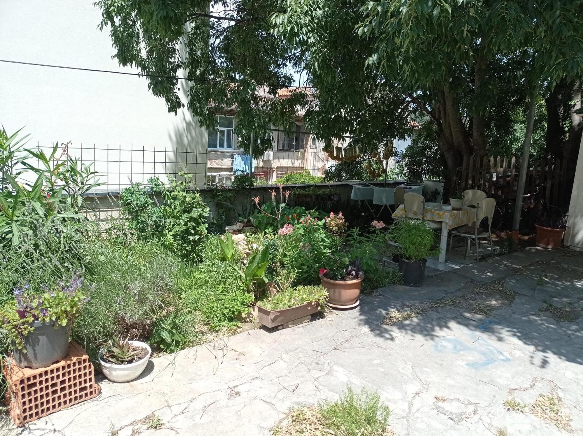 Apartment Todor